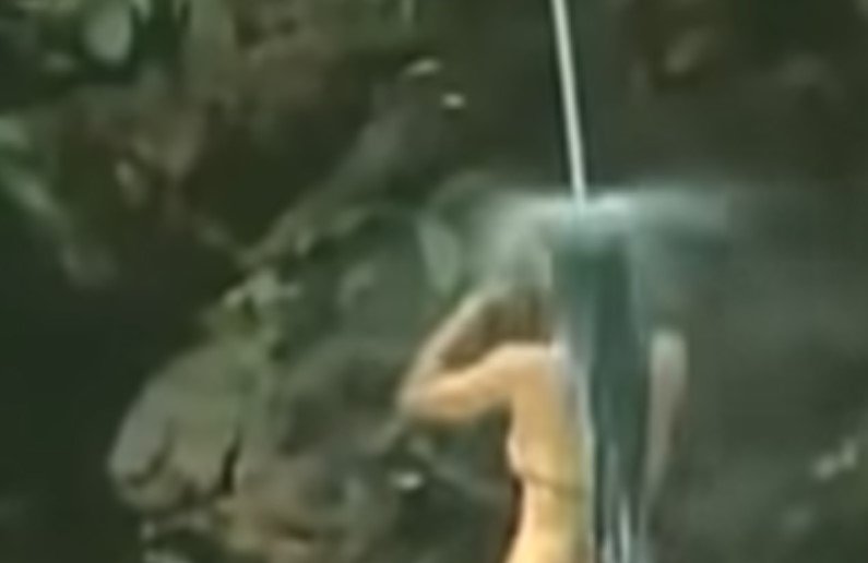 Shweta Tiwari Nude Video