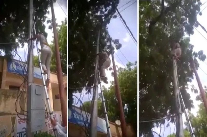 LineMan Cut Power Supply Of Police Station