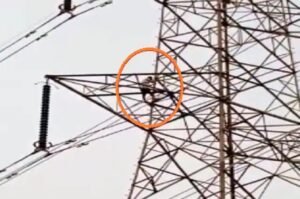 Man climbed on high electric tower