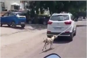 Doctor dragged dog tied to car