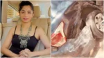 Actress Snehal Rai injured in road accident