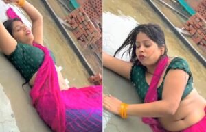 Desi Bhabhi sexy Dance Video