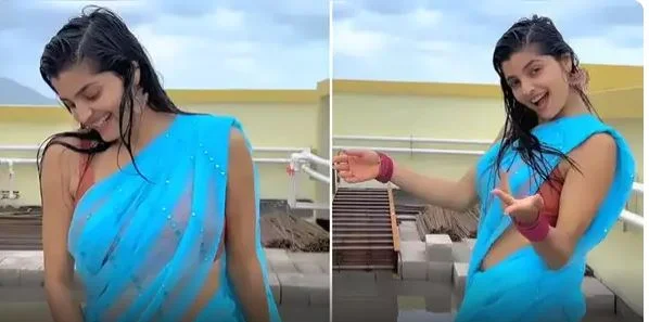 Desi Bhabhi Sexy Video