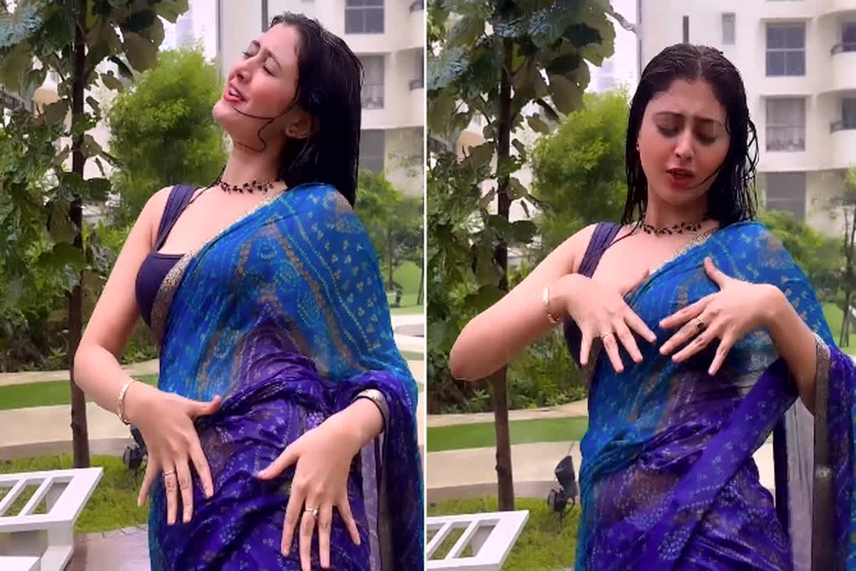 Desi bhabhi hot sexy video