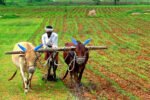 farmer loan waiver telangana